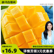 Authentic Sichuan Panzhihua Kate mango fresh fruit seasonally picked super sweet big green mango whole box