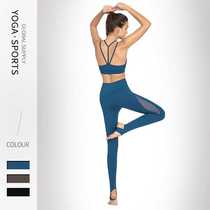 2023 spring and summer yoga wear European and American foreign trade popular tight-fitting sports suit womens mesh gym running two-piece set