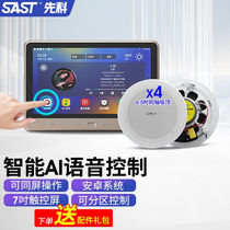SAST Ceiling Audio Home Theater Wireless Bluetooth Broadcast Speaker Home Living Room Background Music