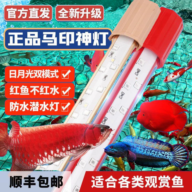 Mayin Magic Lamp Brightening Lamp Plus Red Arowana Lamp Thunder Arowana Lamp Special Aquarium Lamp for Ornamental Fish Led Fish Tank Light Mayin Magic Lamp Brightening Lamp Plus Red Arowana Lamp Thunder Arowana Lamp Special Aquarium Lamp for Ornamental Fish Led Fish Tank Light