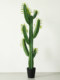 Artificial Cactus Green Plant Potted Decoration Flower Trough Ornament Photo Wall Simple Background Desert Plant Bonsai