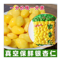 2024 Fresh Ginkgo Nuts and White Nuts Vacuum Packed to Preserve Fresh Pizhou Specialty Special Large Fruits Without Shells and Peels