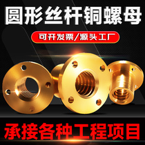 All-copper flange round nut trapezoidal screw screw motor T-type nut set Tr810TR121416 orthodontic