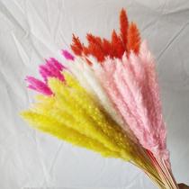 Pink small reed dried flower bouquet pampas grass DIY immortal flower arrangement vase decoration pampas grass wedding landscaping
