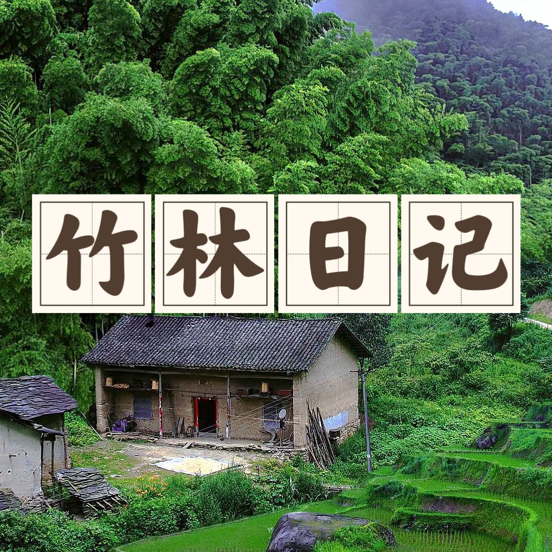 竹林日记