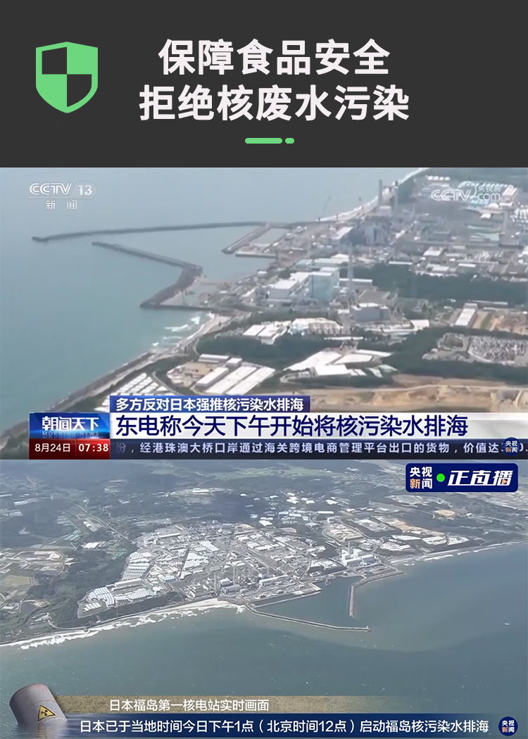 Детектор радиации 核辐射检测仪核污染海鲜食品放射性盖革格计数器测试仪报警仪家用