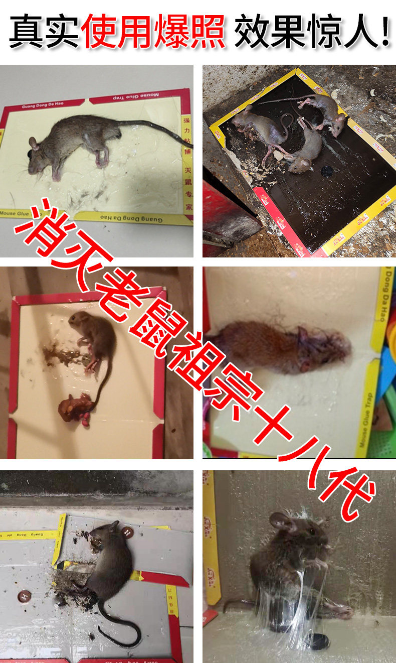 Мышеловка 老鼠贴强力粘鼠板捉粘大老鼠贴沾胶抓家用捕鼠神器超强灭鼠老鼠夹