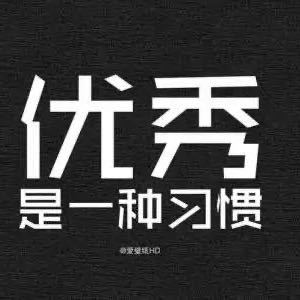 雪儿车载的LOGO