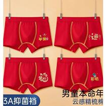 Childrens red underwear boys birth year dragon red boxer briefs pure cotton little boy shorts 13 years old 12 years old