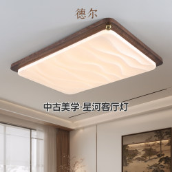 Del's Living Room Ceiling Light, Vintage Cream Style, Creative Starry Sky Light for the Hall, 2026 New Model, High-End Living Room Main Light