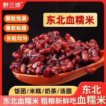 Authentic Northeast black glutinous rice blood glutinous rice purple rice purple glutinous rice ingredients multigrain porridge ingredients farm specialty