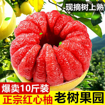 Carefully Selected Flagship Store Authentic Fujian Pomelo, Pinghe Guanxi Honey Pomelo, Red Heart Small Red Pomelo, New Recommendation for Pregnant Women