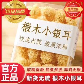 央妈甄选银耳白木耳干货特级椴木小银耳新货野生糯耳羹出胶雪耳