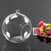 Micro landscape ecological bottle making container moss DIY glass bottle succulent flat round bottom hanging bottle iron frame bottle