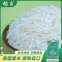 2023 Thai fragrant rice raw grain imported long-grain fragrant rice 5kg jasmine fragrant rice vacuum silk seedling rice 10 catties