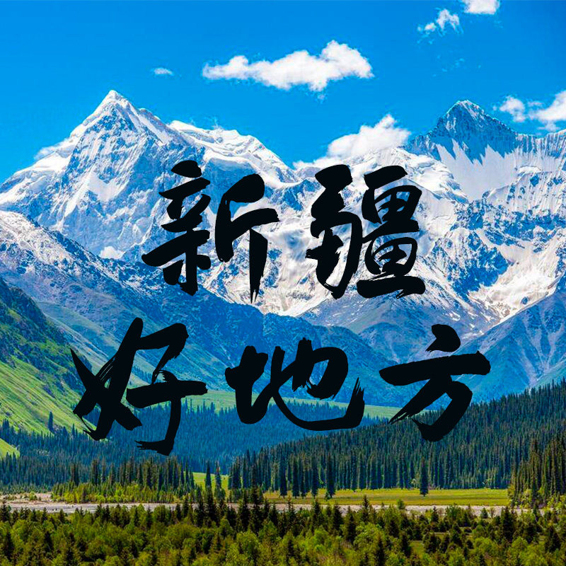 新疆特产卖场店