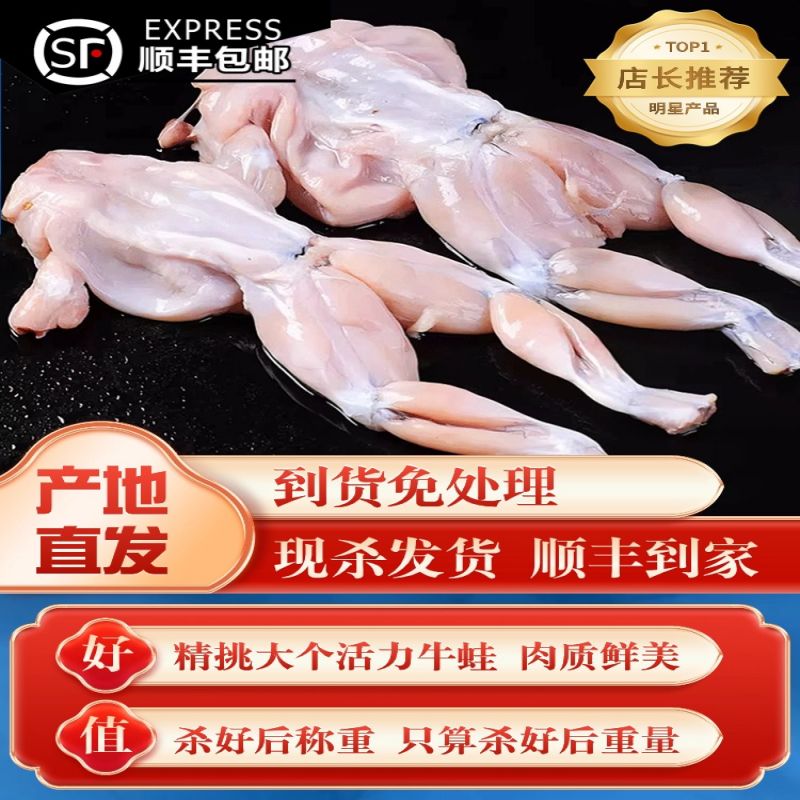 牛蛙盛宴：鲜活特大田鸡，火锅食材的新选择！