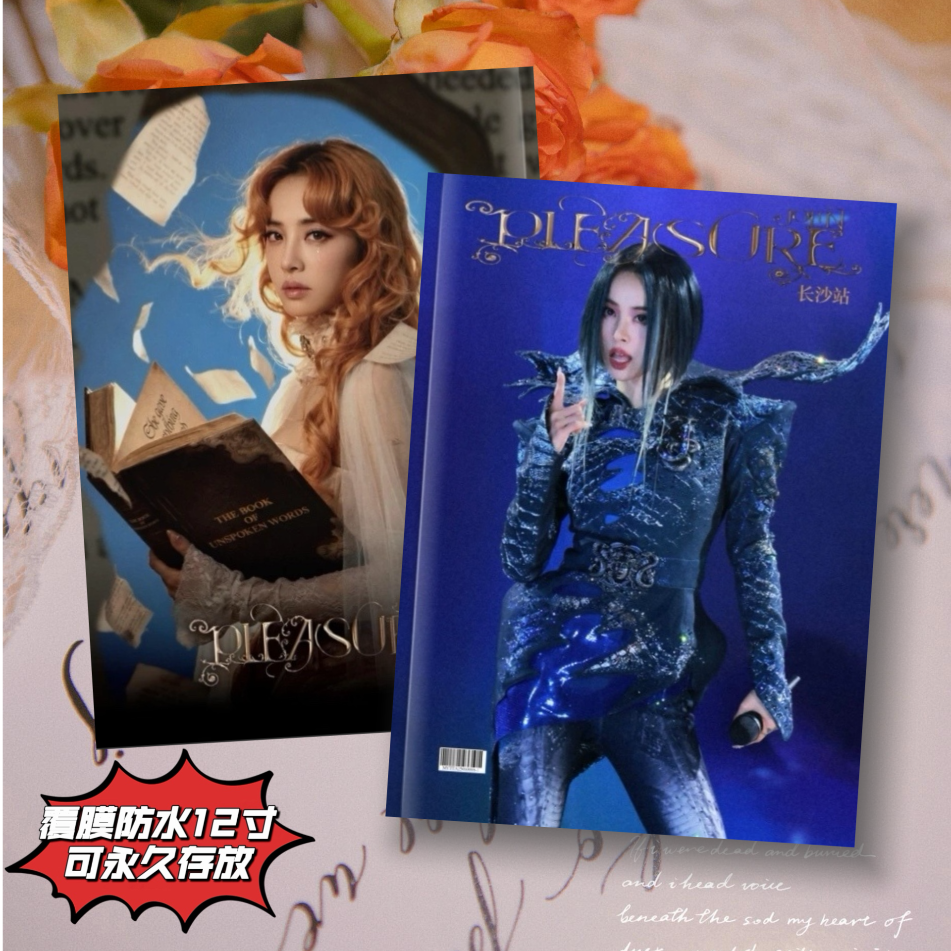 ジョリン・ツァイ『PLEASURE』長沙＆マカオ公演記念アルバム／フォトブック - 友人への贈り物