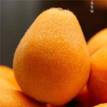 Sichuan Hanyuan Zaozhong loquat has tender flesh and high sweetness. The delicate juice is hydrating and plump. Seasonal fresh water.