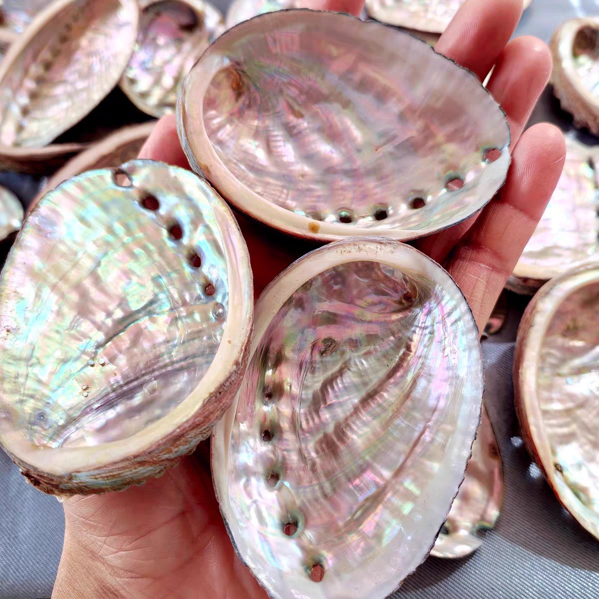 天然レインボーアワビ貝のホームデコレーション、貝殻工芸品、DIY水槽装飾、セージバーナー、生アワビ貝