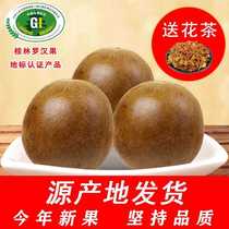 () Scented tea with dried Luo Han Guo fruit a wild specialty of Guilin paired with fat sea gold and silver