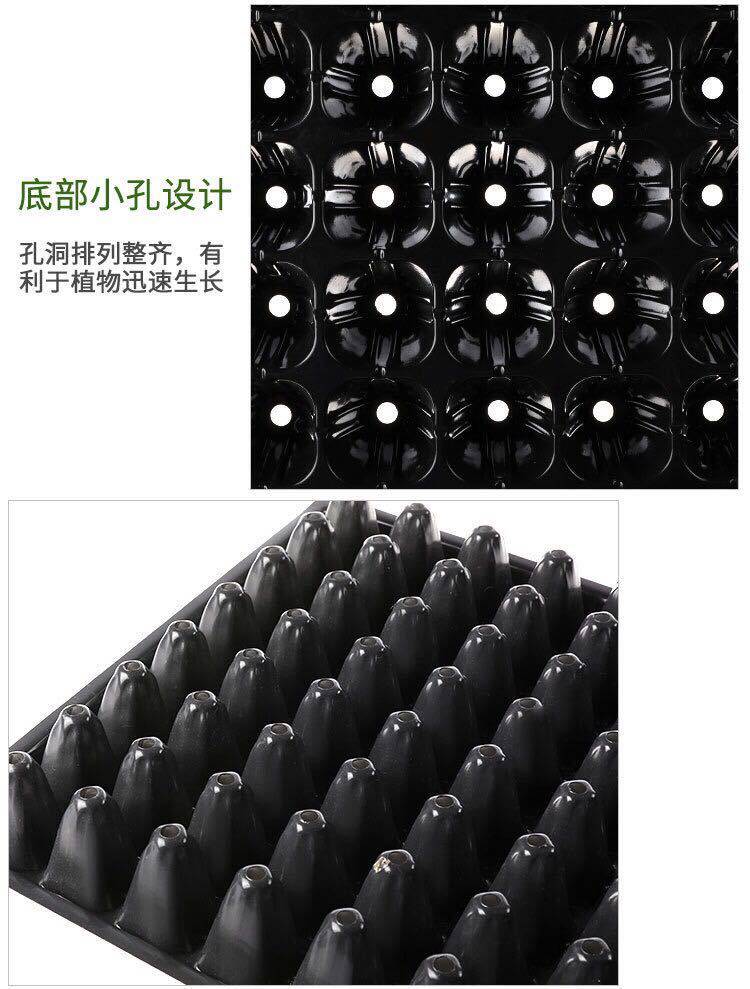 Рассада/питание None