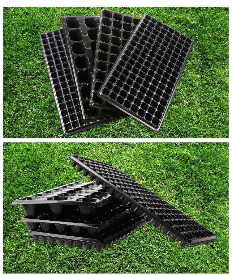 Рассада/питание None