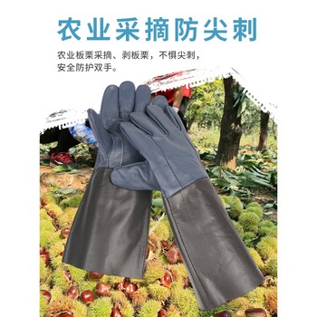 German Premium Imported Anti-Thorn Gloves, Leather Gardening Gloves, Wear-Resistant, for Picking Peppers, Roses, Cacti, Outdoor Floral Art