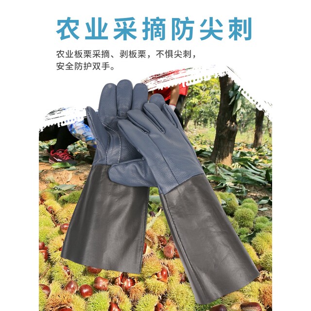 German Premium Imported Anti-Thorn Gloves, Leather Gardening Gloves, Wear-Resistant, for Picking Peppers, Roses, Cacti, Outdoor Floral Art