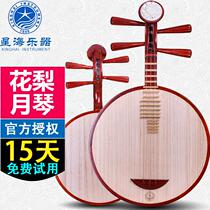 Beijing Xinghai mahogany Yueqin musical instrument 8212 for beginners to play folk music Peking Opera accompaniment Yueqin with accessories