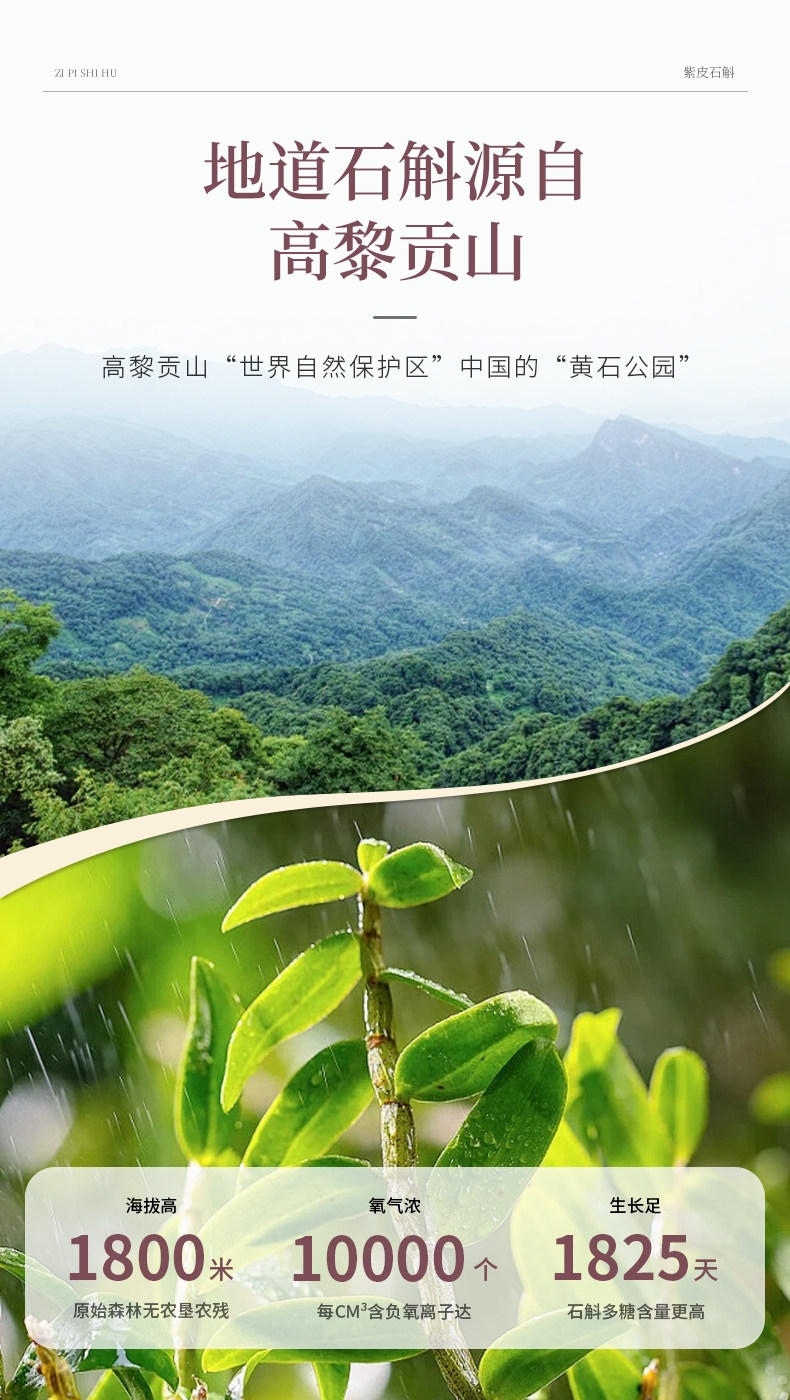 【中国直邮】 合为养 紫皮石斛原浆石斛原液传统滋补养生饮品 30ml*30条/盒