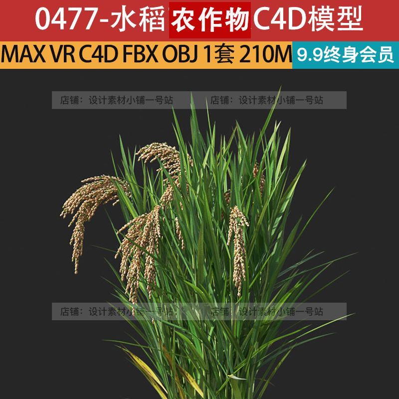 Max C4D Obj Fbx Rice Seedlings Millet Grain Crops Plants Harvest Green Leaves 3D Model