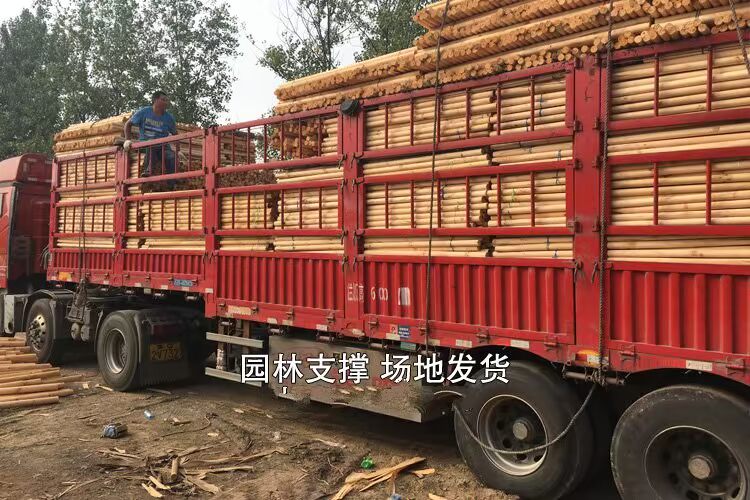 Cảnh quan mới cung cấp cây hỗ trợ cây cố định trụ trong chậu hoa đứng bưởi thực vật khung hoa - Nguồn cung cấp vườn cuộn ống nước tưới cây