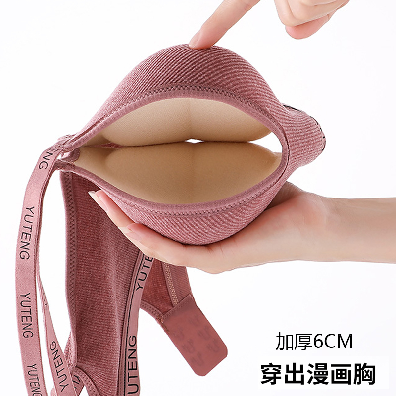 Underwear for Women with Small Breasts, Thickened 6cm, Push-Up to Make the Breasts Look Bigger, Seamless, No Underwire, Soft Support, Anti-Sagging, Side Breast Collection Bra