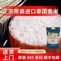 Imported Thai fragrant rice cat tooth rice extra long grain fragrant rice silky rice 2024 new rice special rice for fried rice
