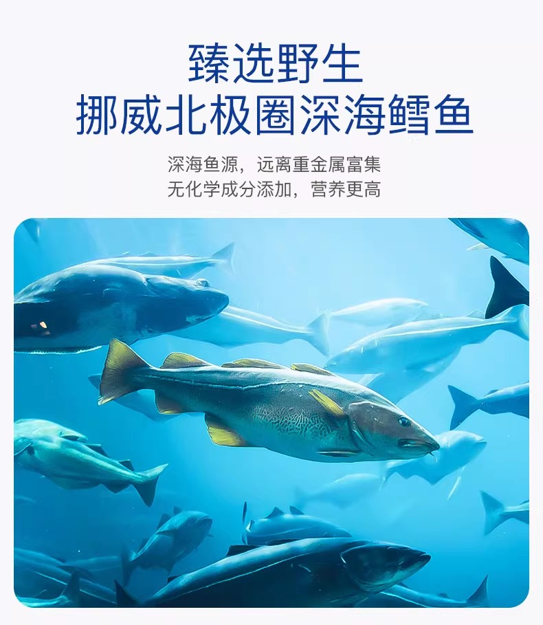 9-69a516e8807b0.jpg 