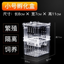 Guppy double-layer transparent fish breeding isolation box aquarium breeding box fish tank incubation box fish farm spawning box