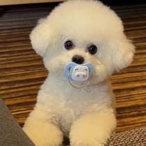 Dog-specific pacifier pet toy puppy grinding teeth to relieve boredom puppy Bichon pacifier for newborn sleep