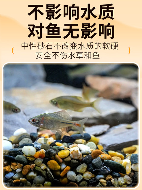Special Bottom Gravel for Fish Tanks, Natural Stream Stone for Landscaping, Native Stream Stone Bottom Gravel, Natural River Sand Stone Decoration for Turtle Tanks