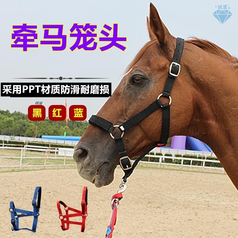 马术爱好者必入!马笼头全套可调马具,编织牵马龙头套防磨纯手工马缰绳子,让你的骑乘体验更上一层楼!-牵马-淘宝好物网
