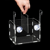 Fish tank isolation box acrylic transparent parrot peacock golden wave hatching box fry breeding box