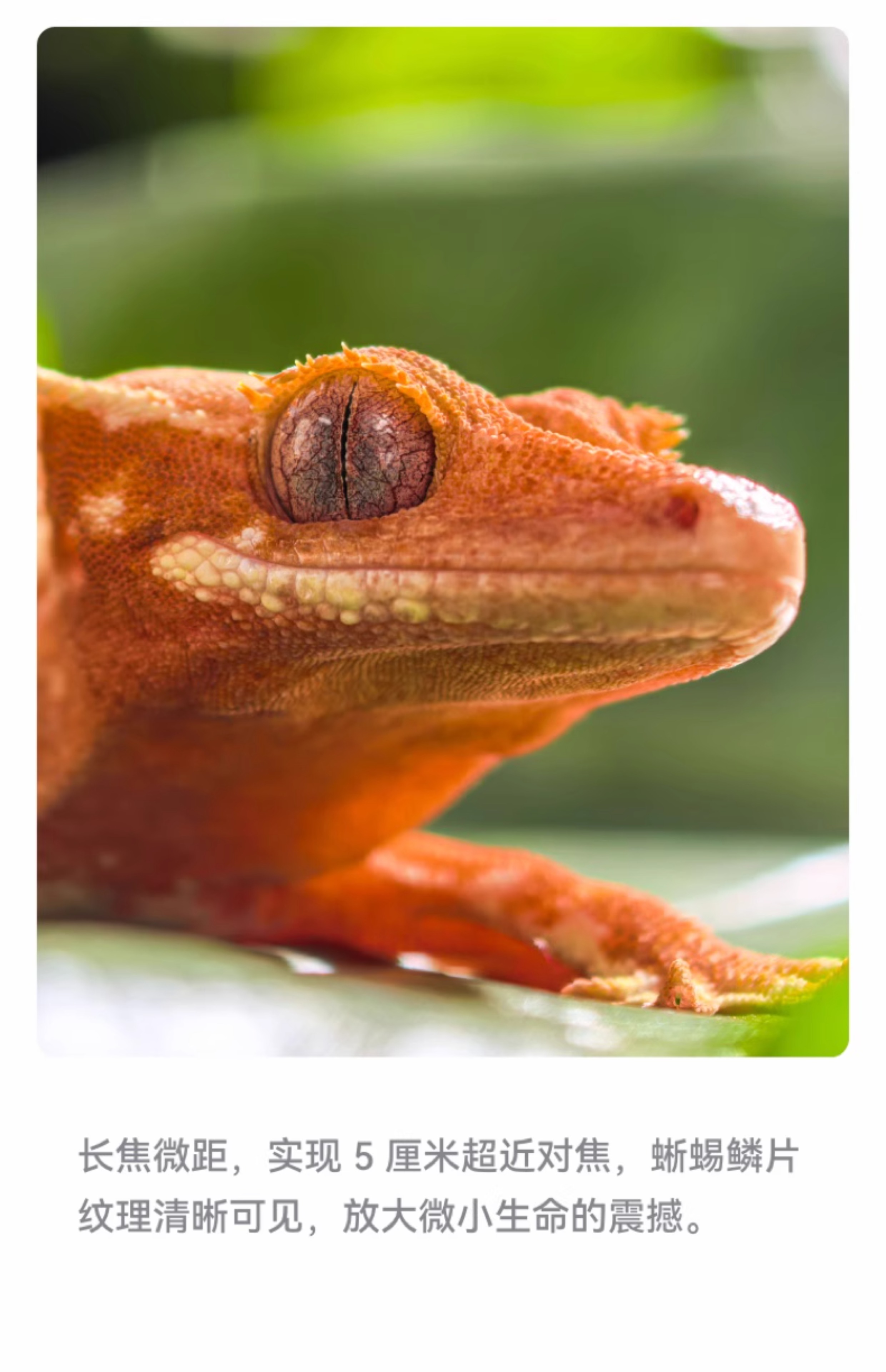 HUAWEI/华为  Pura 80 Pro 12GB+256GB 釉白插图23