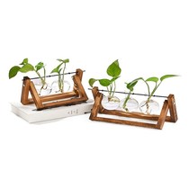 新款水培玻璃花瓶居家摆件客厅插花器皿绿萝桌面水养北欧创意简约