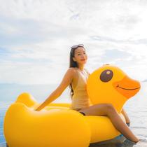 Water animal inflatable mount big sea turtle blue whale black whale floating toy adult and children swimming circle air cushion