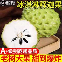 Thai custard apple fresh Buddha head milk freshly picked fruit custard apple large fruit wholesale SF Express