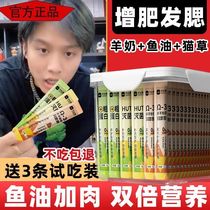 Fish oil cat strips for young cats special fattening and hair nutrition no feed attractants fattening chicken added salmon no snacks