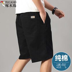 Woodpecker Daddy Pure Cotton Shorts Men's Summer Outer Wear Trendy Brand Versatile Casual Sports Large Size Five-Point Pants