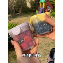 Portable take-out crisper lunch box with ice box elementary school student food-grade fruit sealed box mobile small refrigerator