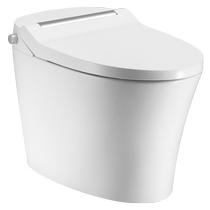 3816 Moen Light Smart Toilet Integrated Instant Heating Jet Siphon SW1081