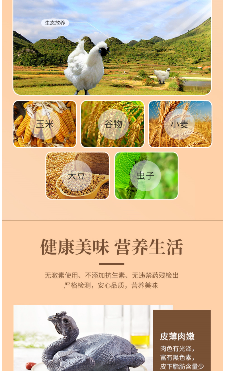 8-66cfed0572c44.png